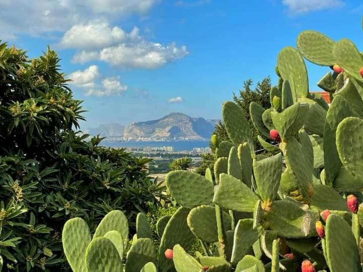 Il Siciliano Home Palermo Exterior photo